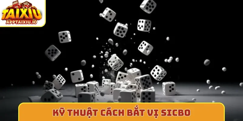 Kỹ thuật cách bắt vị sicbo